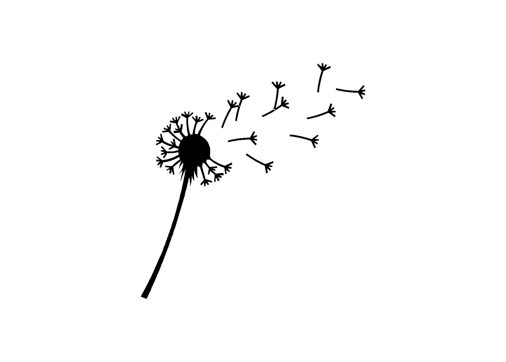 Paardenbloem 1