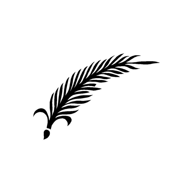 Palmtak 9