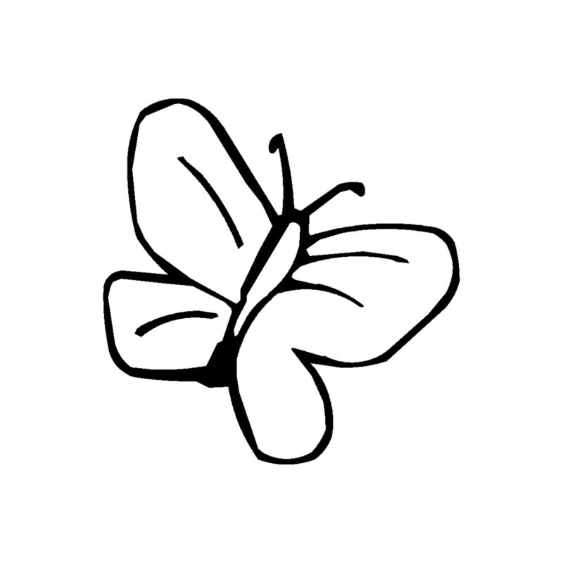 Vlinder 2
