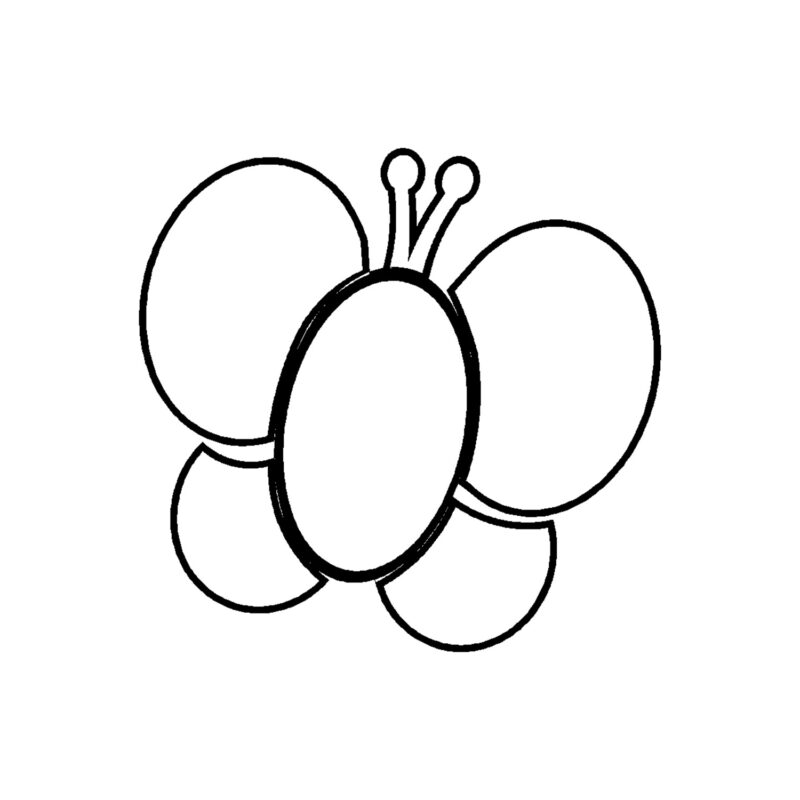 Vlinder 6